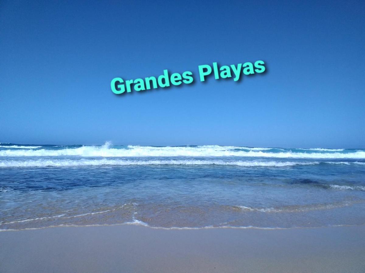 Surf Up Zimmer Mit Meerblick Parque Holandes Buitenkant foto